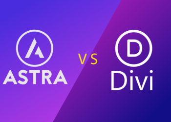 เลือกระหว่าง Divi Theme กับ Astra Theme
