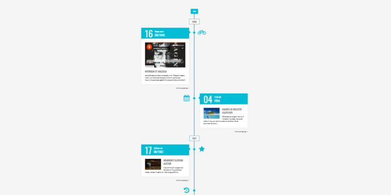 Modern flat style WP Timeline