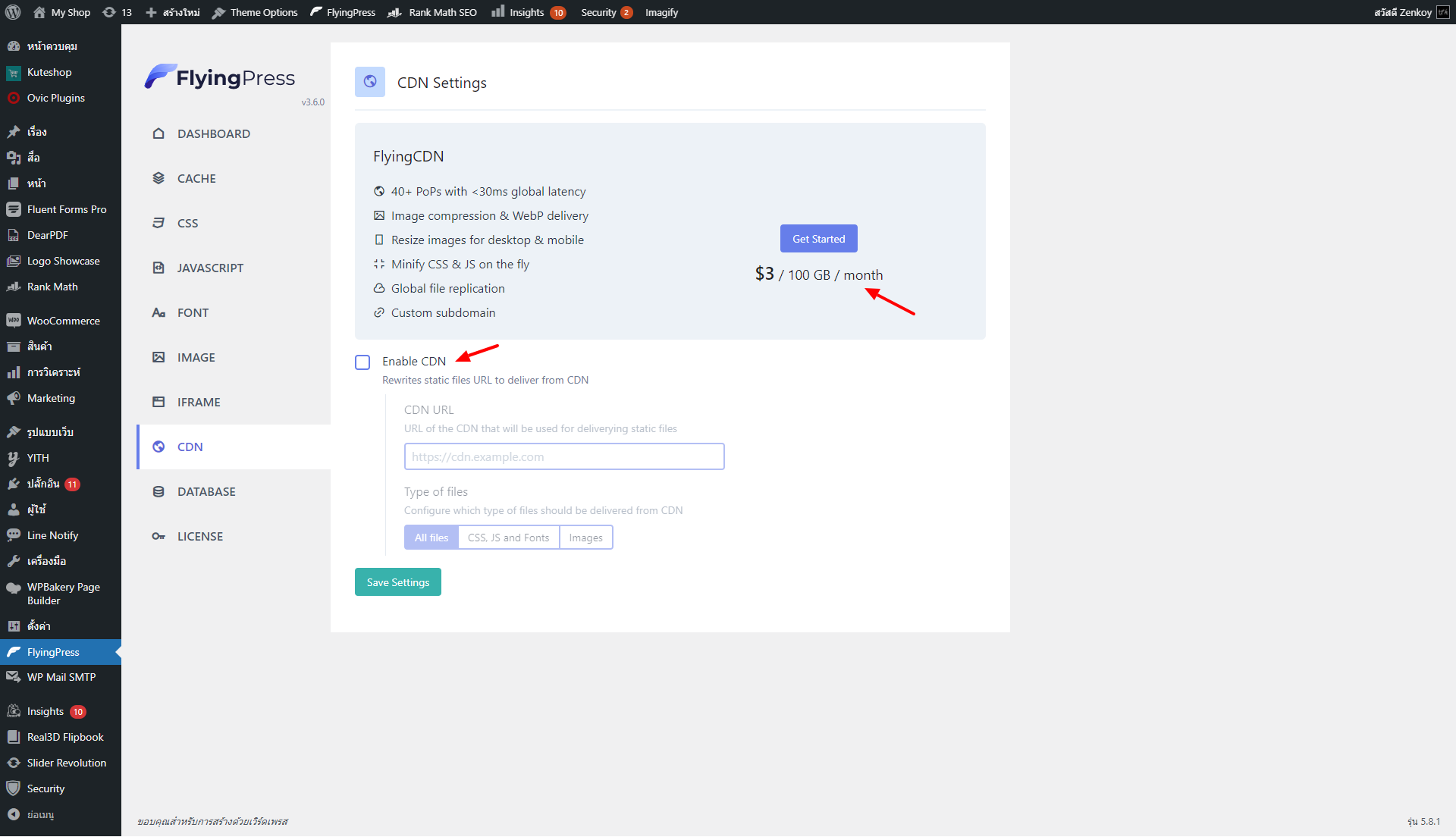 FlyingPress CDN Settings