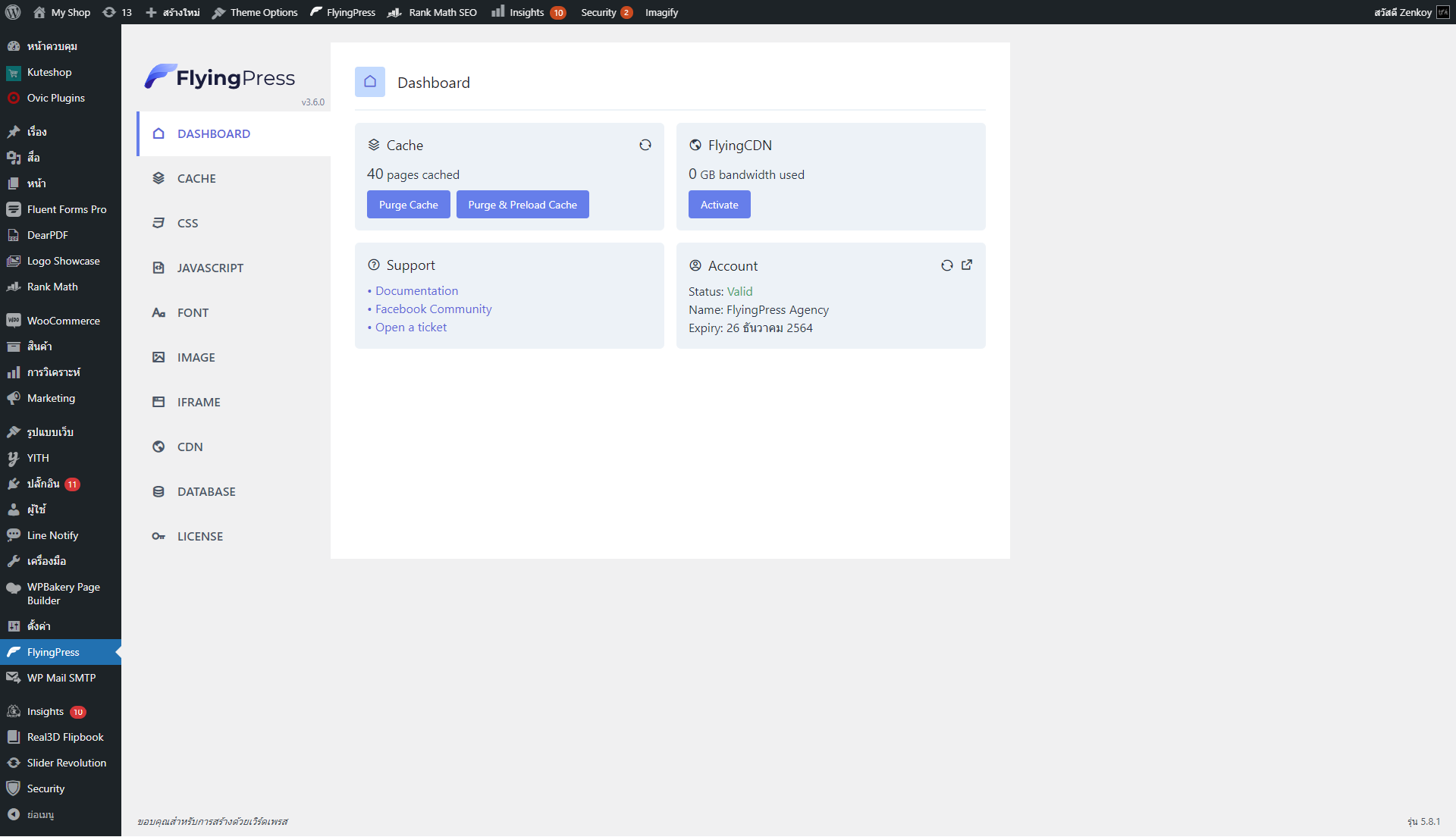 FlyingPress Dashboard