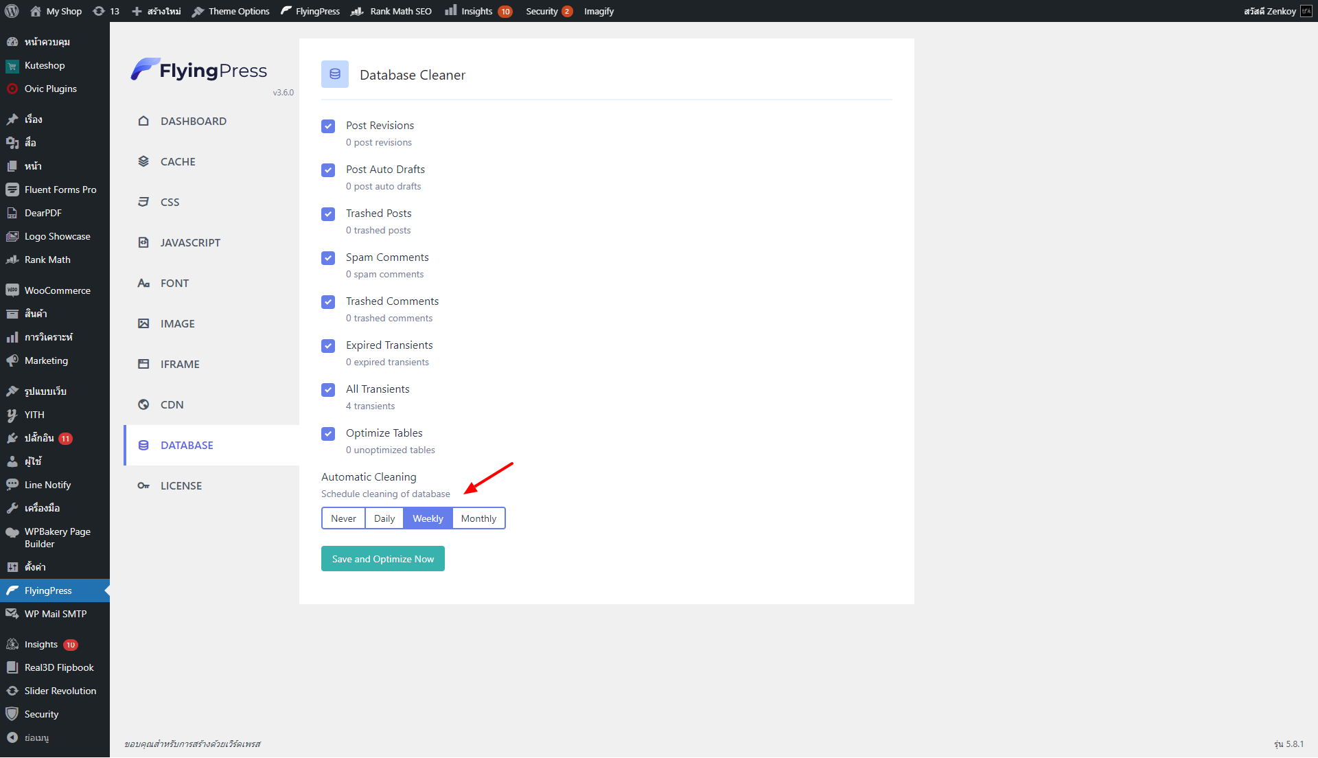 FlyingPress Database Cleaner